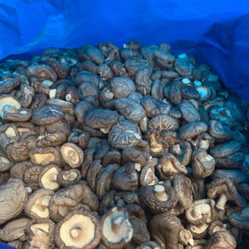 蓝岛大厦:现代商务与便利生活的交汇点